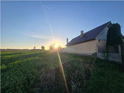 De vanzare casa Pausa + teren de 2,5 Hectare