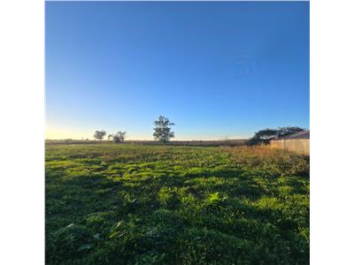 De vanzare casa Pausa + teren de 2,5 Hectare