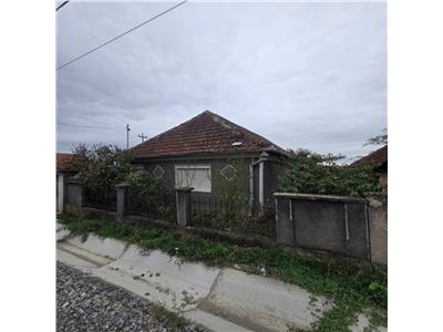 De vanzare casa in Tasad pe teren intravilan de 8600 mp