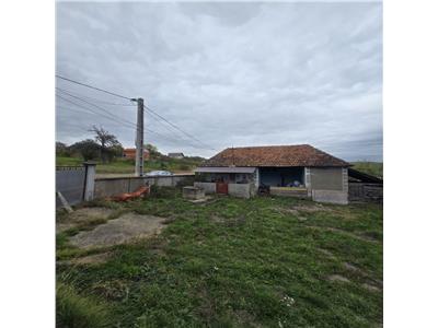 De vanzare casa in Tasad pe teren intravilan de 8600 mp